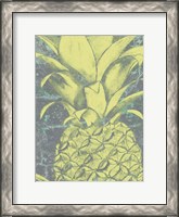 Framed Kona Pineapple II