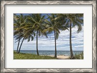 Framed Beach Palms