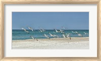Framed Beach Skimmers
