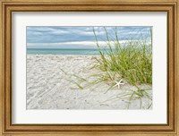 Framed Star Fish and Sea Oats