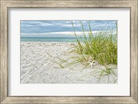 Framed Star Fish and Sea Oats