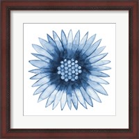 Framed Blue Daisy