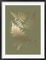 Gold Foil Ferns III on Mid Green - Metallic Foil Framed Print
