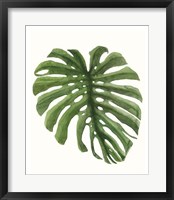 Tropical Breeze Leaves I Framed Print