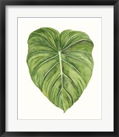 Tropical Breeze Leaves II Framed Print