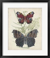 Framed Butterflies & Ferns III