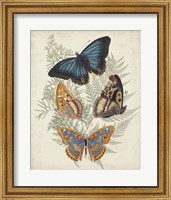 Framed Butterflies & Ferns V