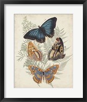 Framed Butterflies & Ferns V