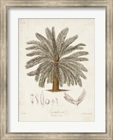 Framed Antique Tropical Palm I