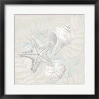 Weathered Shell Sketch I Framed Print