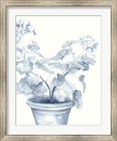 Framed Blue Geranium I