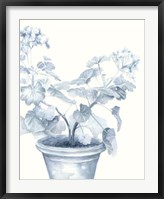 Blue Geranium I Framed Print