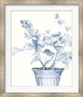 Framed Blue Geranium II