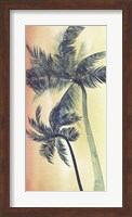 Framed Vintage Palms I