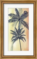 Framed Vintage Palms II