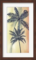 Framed Vintage Palms II