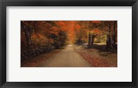Framed October Lane