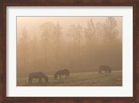 Framed Grazing Ponies