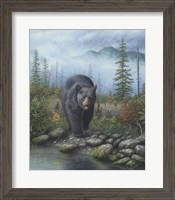 Framed Smoky Mountain Black Bear