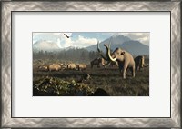 Framed Columbian Mammoths And Bison Roam The Ancient Plains Of North America