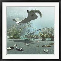 Framed Animals And Floral Life From The Burgess Shale Formation Of The Cambrian Period