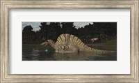 Framed Spinosaurus Hunting For Fish In A Lake