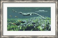 Framed Cymbospondylus, A Very Large And Early Triassic Ichthyosaur