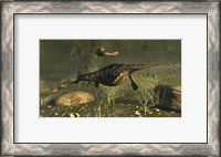 Framed Hupehsuchus Marine Reptiles Swimming In Triassic Waters