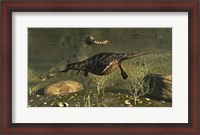 Framed Hupehsuchus Marine Reptiles Swimming In Triassic Waters