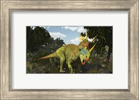 Framed Styracosaurus, A Horned Dinosaur Of The Late Cretaceous