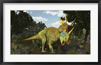 Framed Styracosaurus, A Horned Dinosaur Of The Late Cretaceous