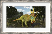 Framed Styracosaurus, A Horned Dinosaur Of The Late Cretaceous