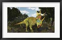 Framed Styracosaurus, A Horned Dinosaur Of The Late Cretaceous