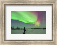 Framed Aurora borealis with Vega and Arcturus Stars, Manitoba, Canada