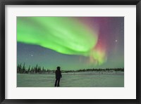 Framed Aurora borealis with Vega and Arcturus Stars, Manitoba, Canada