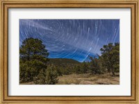 Framed Circumpolar star trails over the Gila National Forest in southern New Mexico