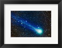 Framed Comet Lovejoy