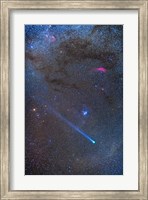 Framed Comet Lovejoy's long ion tail in Taurus