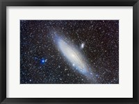 Framed Andromeda Galaxy with Companions