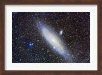 Framed Andromeda Galaxy with Companions