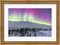 Framed Pink Aurora over boreal forest in Canada