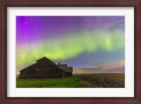 Framed Purple Aurora over an old barn, Alberta, Canada