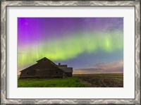 Framed Purple Aurora over an old barn, Alberta, Canada