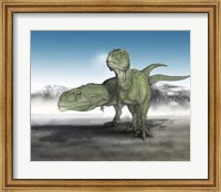 Framed Pair of Giganotosaurus