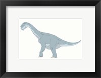 Framed Camarasaurus