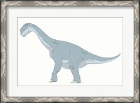 Framed Camarasaurus