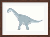 Framed Camarasaurus