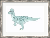 Framed Pachycephalosaurus