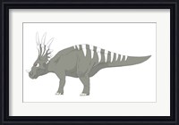 Framed Styracosaurus