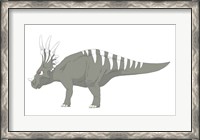 Framed Styracosaurus